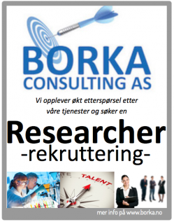 Borka Consulting Rekruttering